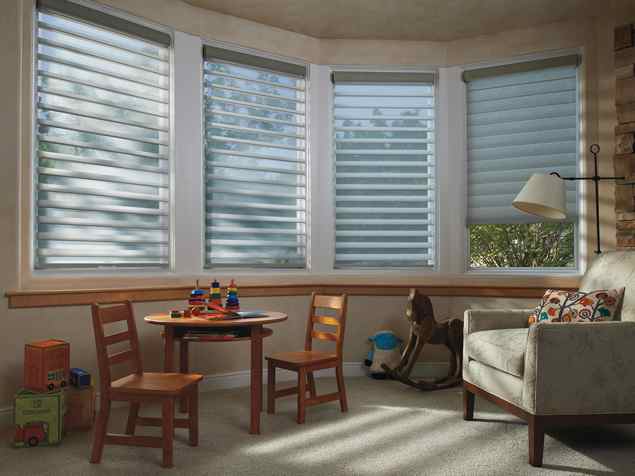 Hunter Douglas Silhouette window shadings